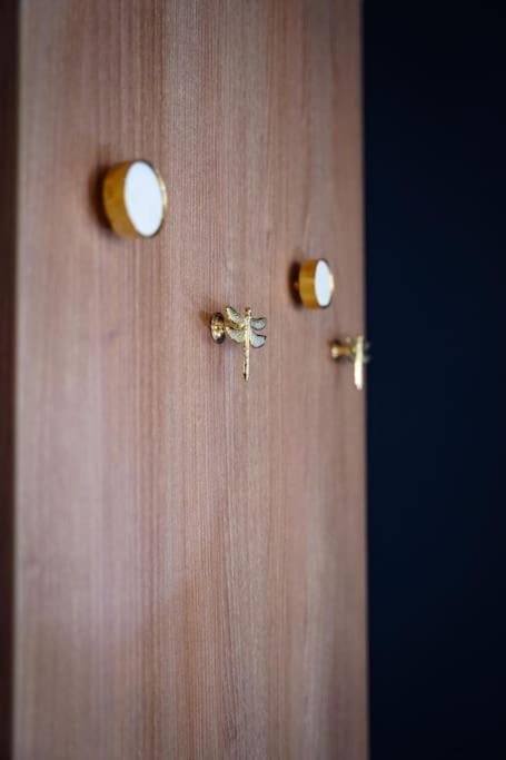 Bel Appartement Centre-Ville Saint-Etienne  Ngoại thất bức ảnh