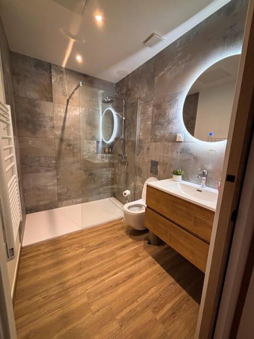 Bel Appartement Centre-Ville Saint-Etienne  Ngoại thất bức ảnh
