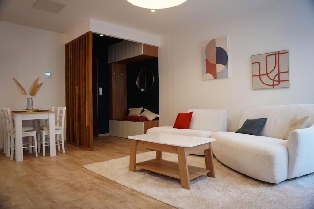 Bel Appartement Centre-Ville Saint-Etienne  Ngoại thất bức ảnh